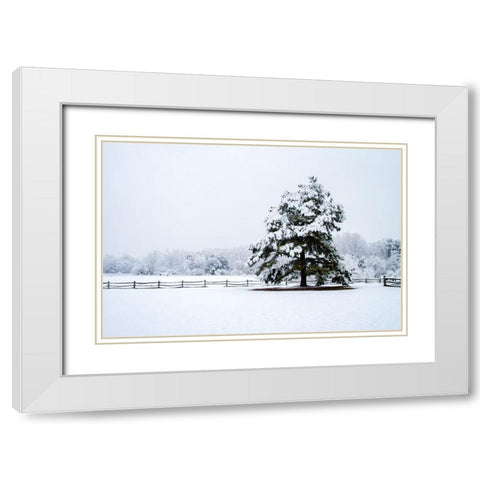 Snowy Sentinel White Modern Wood Framed Art Print with Double Matting by Hausenflock, Alan