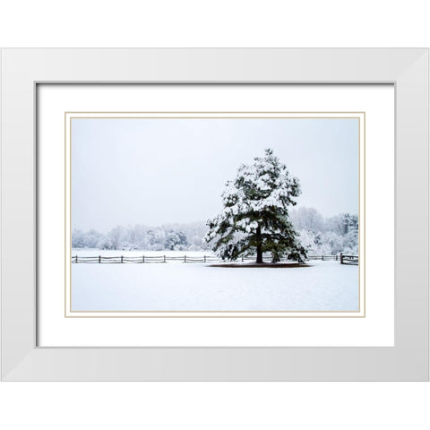 Snowy Sentinel White Modern Wood Framed Art Print with Double Matting by Hausenflock, Alan