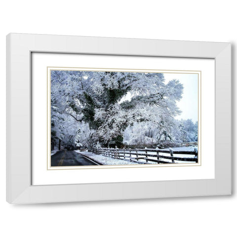 Rural Point Road White Modern Wood Framed Art Print with Double Matting by Hausenflock, Alan