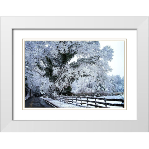 Rural Point Road White Modern Wood Framed Art Print with Double Matting by Hausenflock, Alan