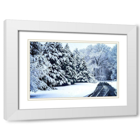 Bellswood Road White Modern Wood Framed Art Print with Double Matting by Hausenflock, Alan