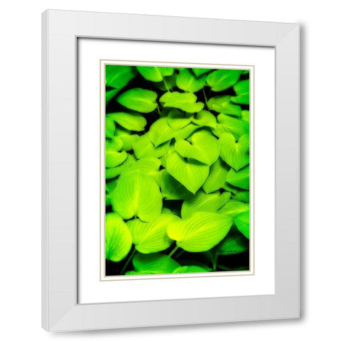 Heart Profusion White Modern Wood Framed Art Print with Double Matting by Hausenflock, Alan