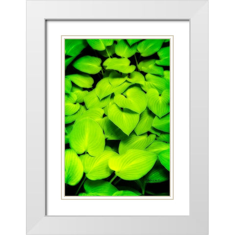 Heart Profusion White Modern Wood Framed Art Print with Double Matting by Hausenflock, Alan