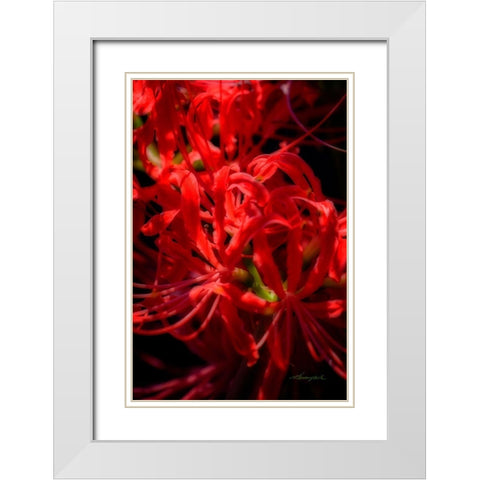 Hurricane Lily White Modern Wood Framed Art Print with Double Matting by Hausenflock, Alan