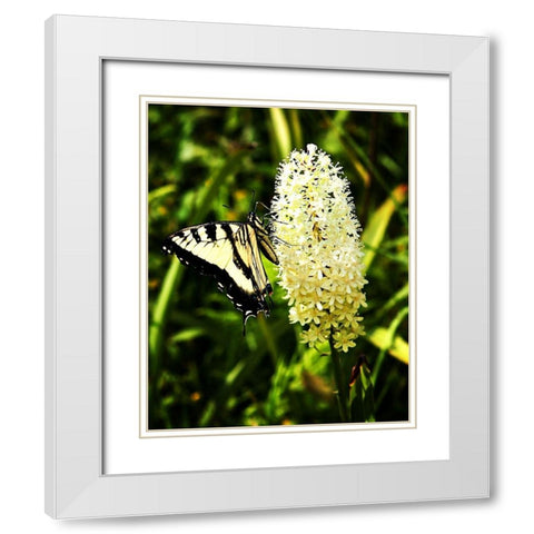 Yellow Butterfly White Modern Wood Framed Art Print with Double Matting by Hausenflock, Alan