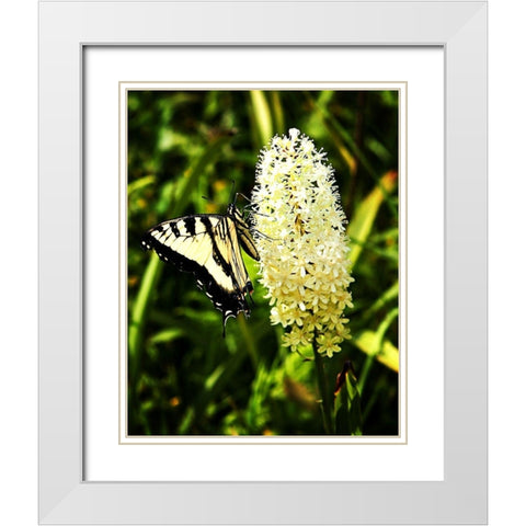 Yellow Butterfly White Modern Wood Framed Art Print with Double Matting by Hausenflock, Alan