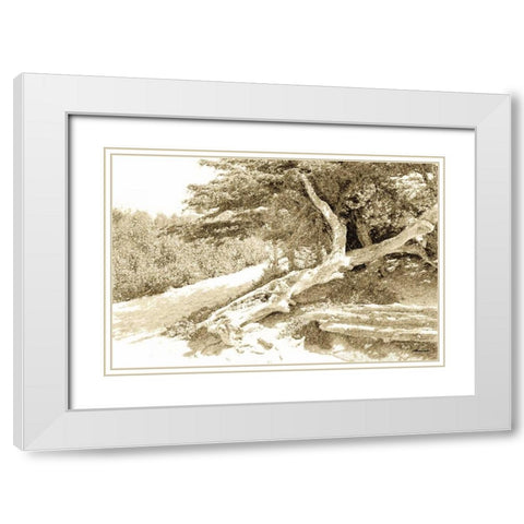 Carmel Beach I White Modern Wood Framed Art Print with Double Matting by Hausenflock, Alan