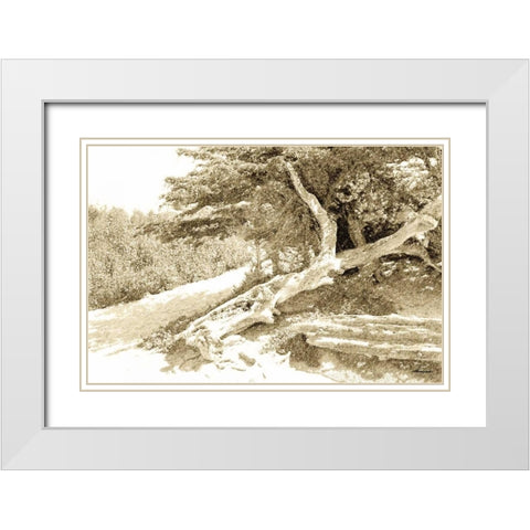 Carmel Beach I White Modern Wood Framed Art Print with Double Matting by Hausenflock, Alan