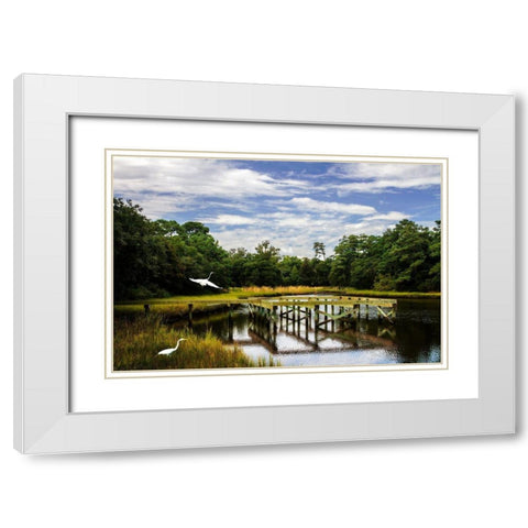 Egret on the Wing White Modern Wood Framed Art Print with Double Matting by Hausenflock, Alan