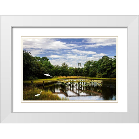 Egret on the Wing White Modern Wood Framed Art Print with Double Matting by Hausenflock, Alan