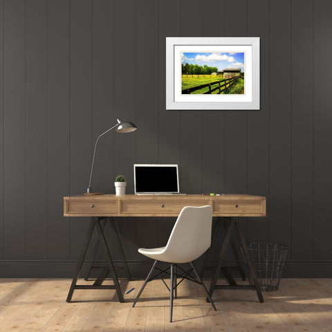 Spring on the Ranch White Modern Wood Framed Art Print with Double Matting by Hausenflock, Alan