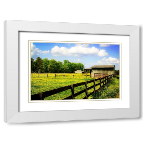 Spring on the Ranch White Modern Wood Framed Art Print with Double Matting by Hausenflock, Alan