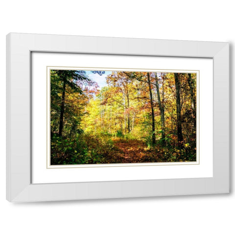 Autumn Colors White Modern Wood Framed Art Print with Double Matting by Hausenflock, Alan
