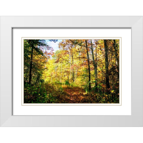 Autumn Colors White Modern Wood Framed Art Print with Double Matting by Hausenflock, Alan