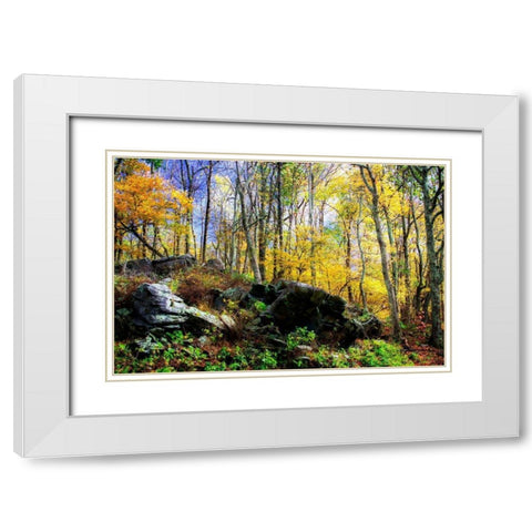 Turning Seasons White Modern Wood Framed Art Print with Double Matting by Hausenflock, Alan