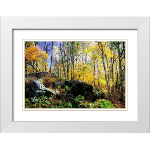 Turning Seasons White Modern Wood Framed Art Print with Double Matting by Hausenflock, Alan