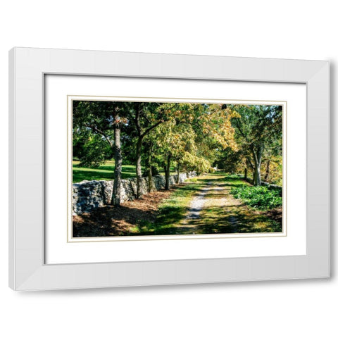 Late Afternoon White Modern Wood Framed Art Print with Double Matting by Hausenflock, Alan