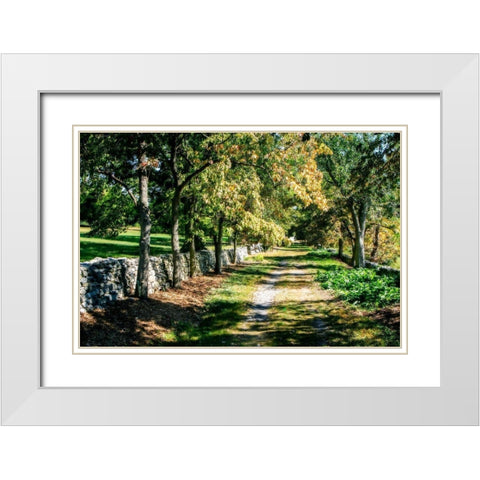 Late Afternoon White Modern Wood Framed Art Print with Double Matting by Hausenflock, Alan