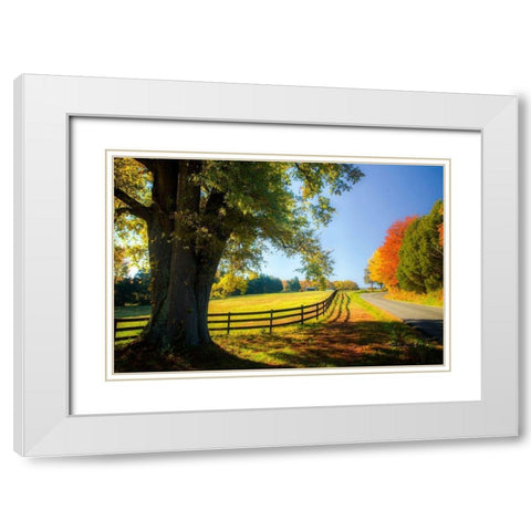 A Virginia Byway White Modern Wood Framed Art Print with Double Matting by Hausenflock, Alan