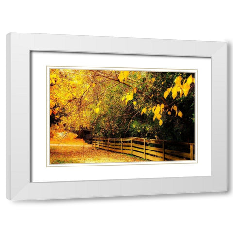Autumns End White Modern Wood Framed Art Print with Double Matting by Hausenflock, Alan