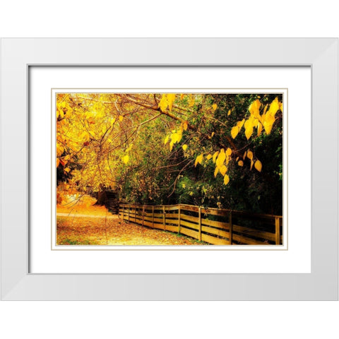 Autumns End White Modern Wood Framed Art Print with Double Matting by Hausenflock, Alan