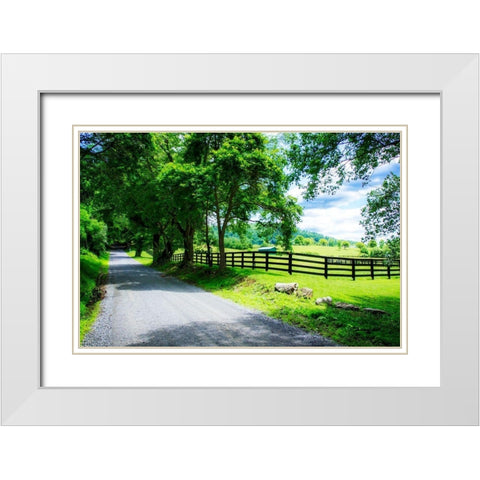 The Road Home White Modern Wood Framed Art Print with Double Matting by Hausenflock, Alan