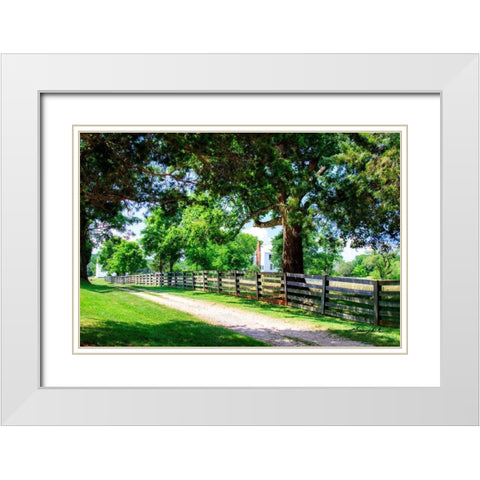 A Time Gone By White Modern Wood Framed Art Print with Double Matting by Hausenflock, Alan