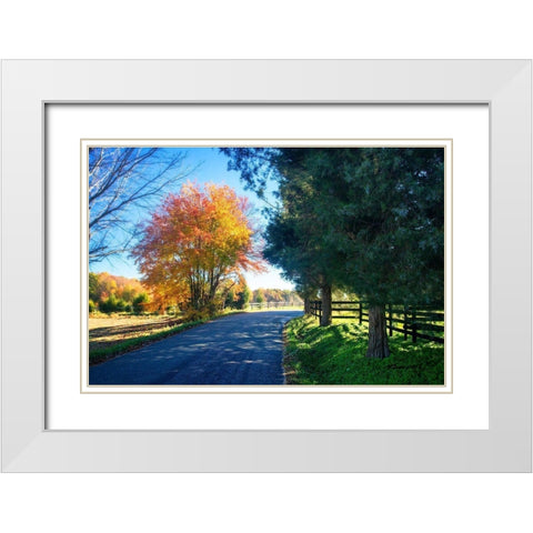 The Road Home II White Modern Wood Framed Art Print with Double Matting by Hausenflock, Alan