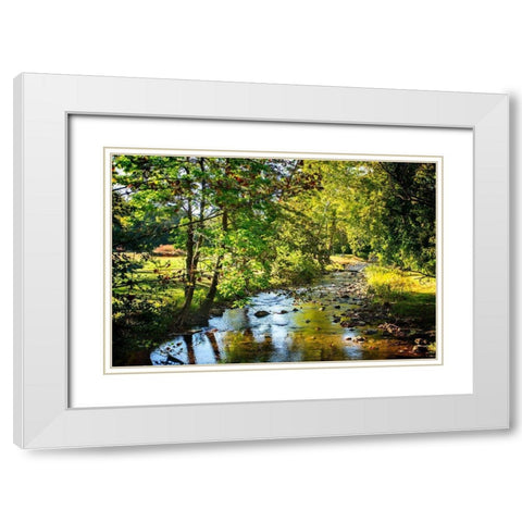 Happy Little Stream White Modern Wood Framed Art Print with Double Matting by Hausenflock, Alan