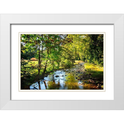 Happy Little Stream White Modern Wood Framed Art Print with Double Matting by Hausenflock, Alan