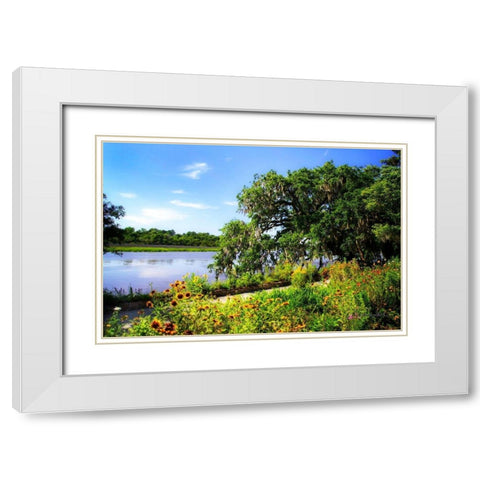 Flowers Along the River White Modern Wood Framed Art Print with Double Matting by Hausenflock, Alan