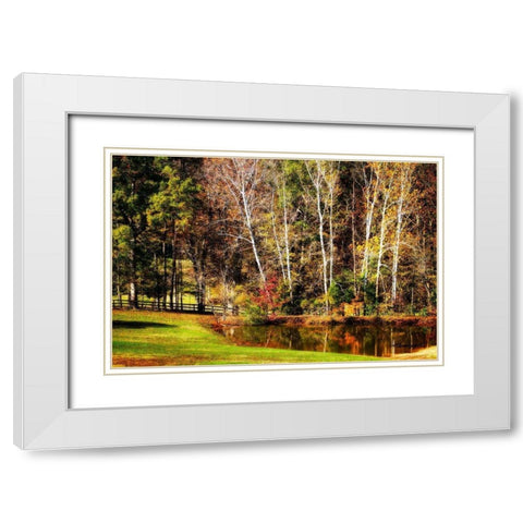 Horse Pond White Modern Wood Framed Art Print with Double Matting by Hausenflock, Alan