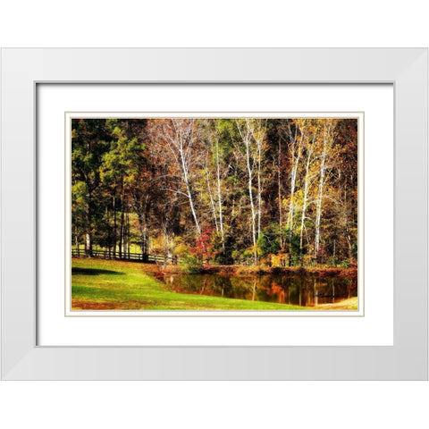 Horse Pond White Modern Wood Framed Art Print with Double Matting by Hausenflock, Alan