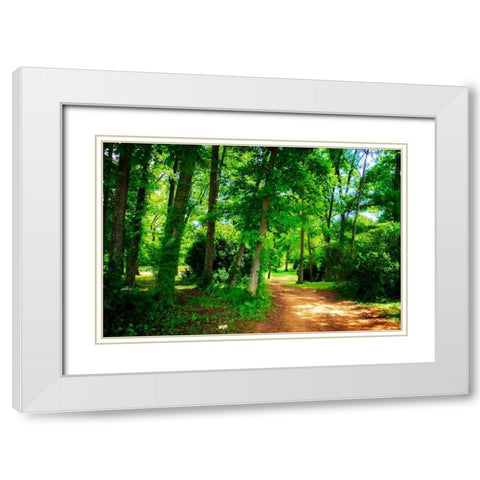 Barbourville Woods White Modern Wood Framed Art Print with Double Matting by Hausenflock, Alan