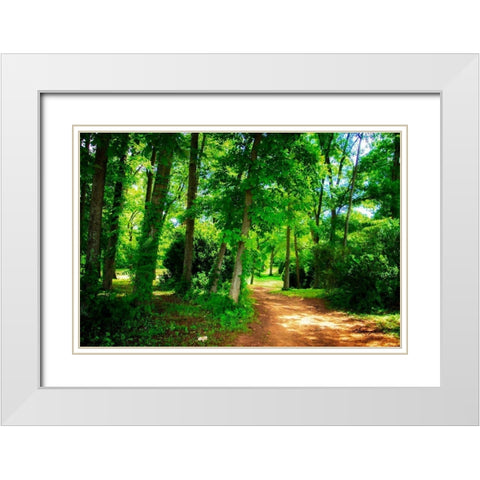 Barbourville Woods White Modern Wood Framed Art Print with Double Matting by Hausenflock, Alan