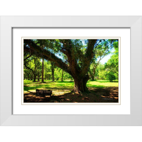 Tree Swing White Modern Wood Framed Art Print with Double Matting by Hausenflock, Alan