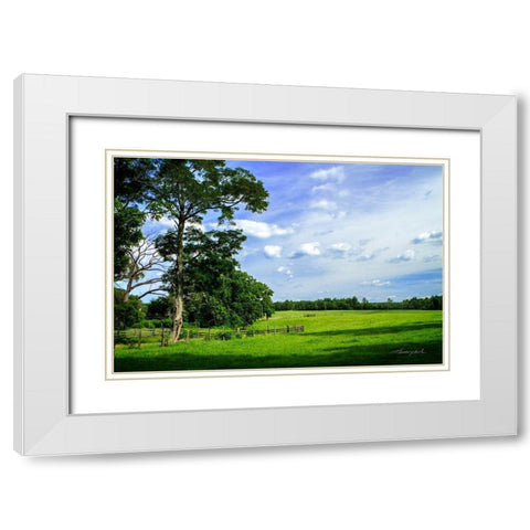 Abandoned Ranch White Modern Wood Framed Art Print with Double Matting by Hausenflock, Alan
