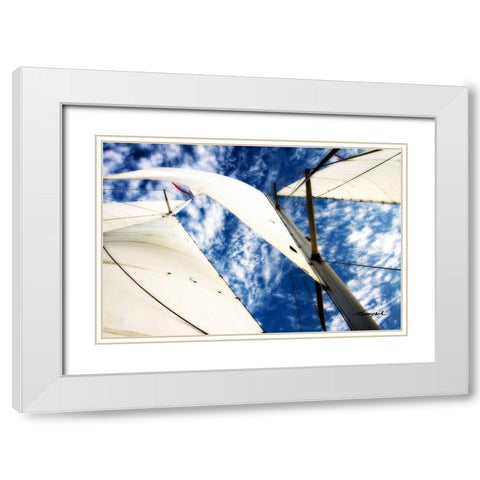 Windjammer II White Modern Wood Framed Art Print with Double Matting by Hausenflock, Alan