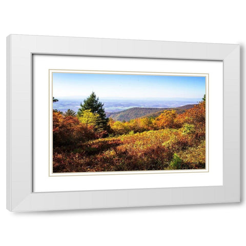 Skyline Drive 6 White Modern Wood Framed Art Print with Double Matting by Hausenflock, Alan