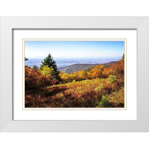 Skyline Drive 6 White Modern Wood Framed Art Print with Double Matting by Hausenflock, Alan