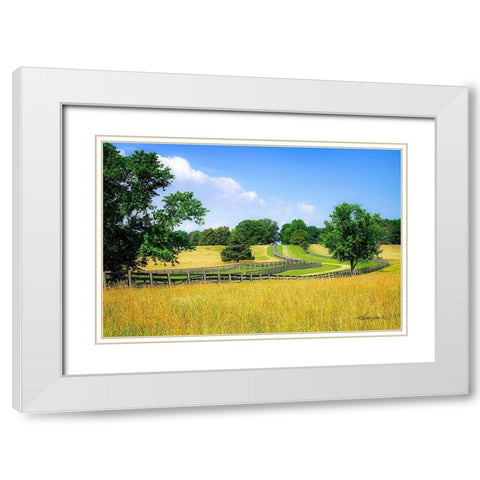 Farming Fields White Modern Wood Framed Art Print with Double Matting by Hausenflock, Alan