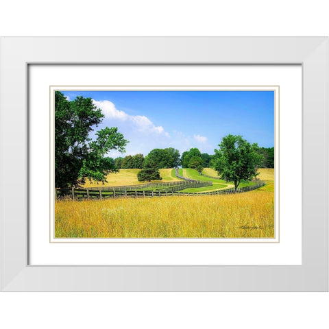 Farming Fields White Modern Wood Framed Art Print with Double Matting by Hausenflock, Alan