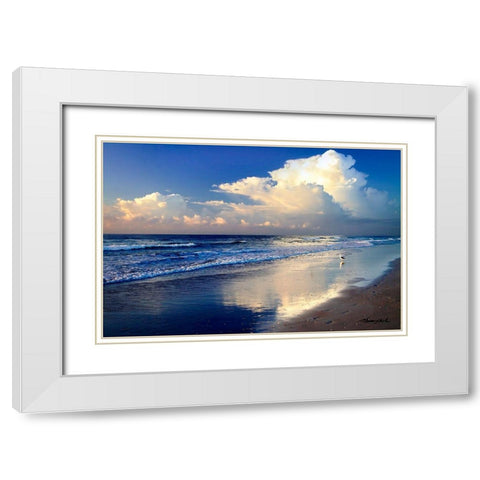 Seagull on the Shore White Modern Wood Framed Art Print with Double Matting by Hausenflock, Alan