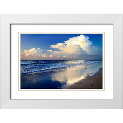Seagull on the Shore White Modern Wood Framed Art Print with Double Matting by Hausenflock, Alan