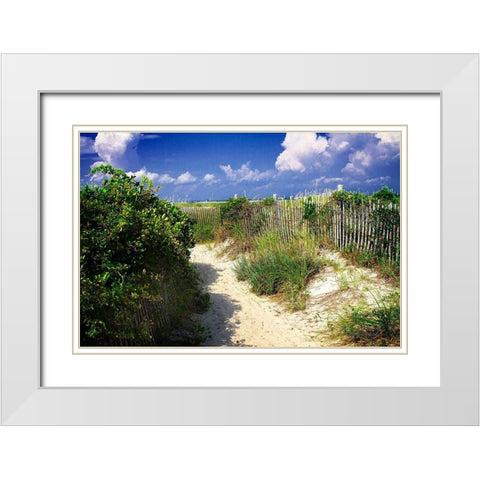 Sandy Walkway White Modern Wood Framed Art Print with Double Matting by Hausenflock, Alan