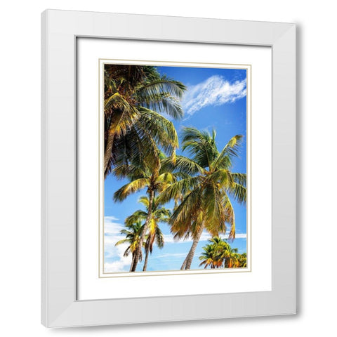 Sunlit Palms White Modern Wood Framed Art Print with Double Matting by Hausenflock, Alan