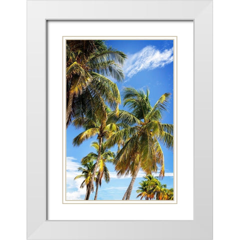 Sunlit Palms White Modern Wood Framed Art Print with Double Matting by Hausenflock, Alan