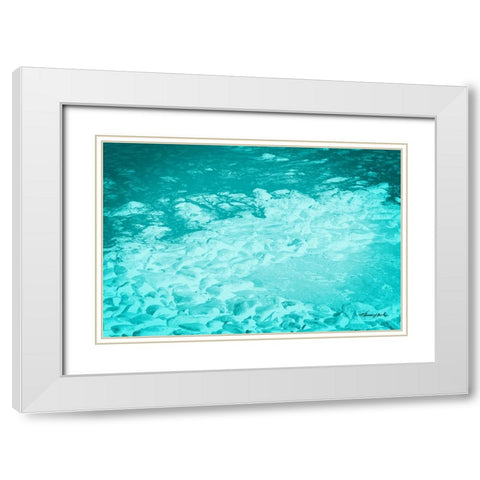 The Shore White Modern Wood Framed Art Print with Double Matting by Hausenflock, Alan