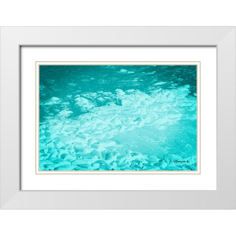 The Shore White Modern Wood Framed Art Print with Double Matting by Hausenflock, Alan