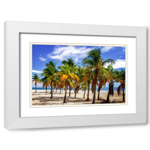 Palms on the Beach I White Modern Wood Framed Art Print with Double Matting by Hausenflock, Alan